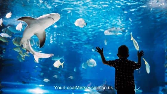 Blue Planet Aquarium Cheshire Oaks near Liverpool